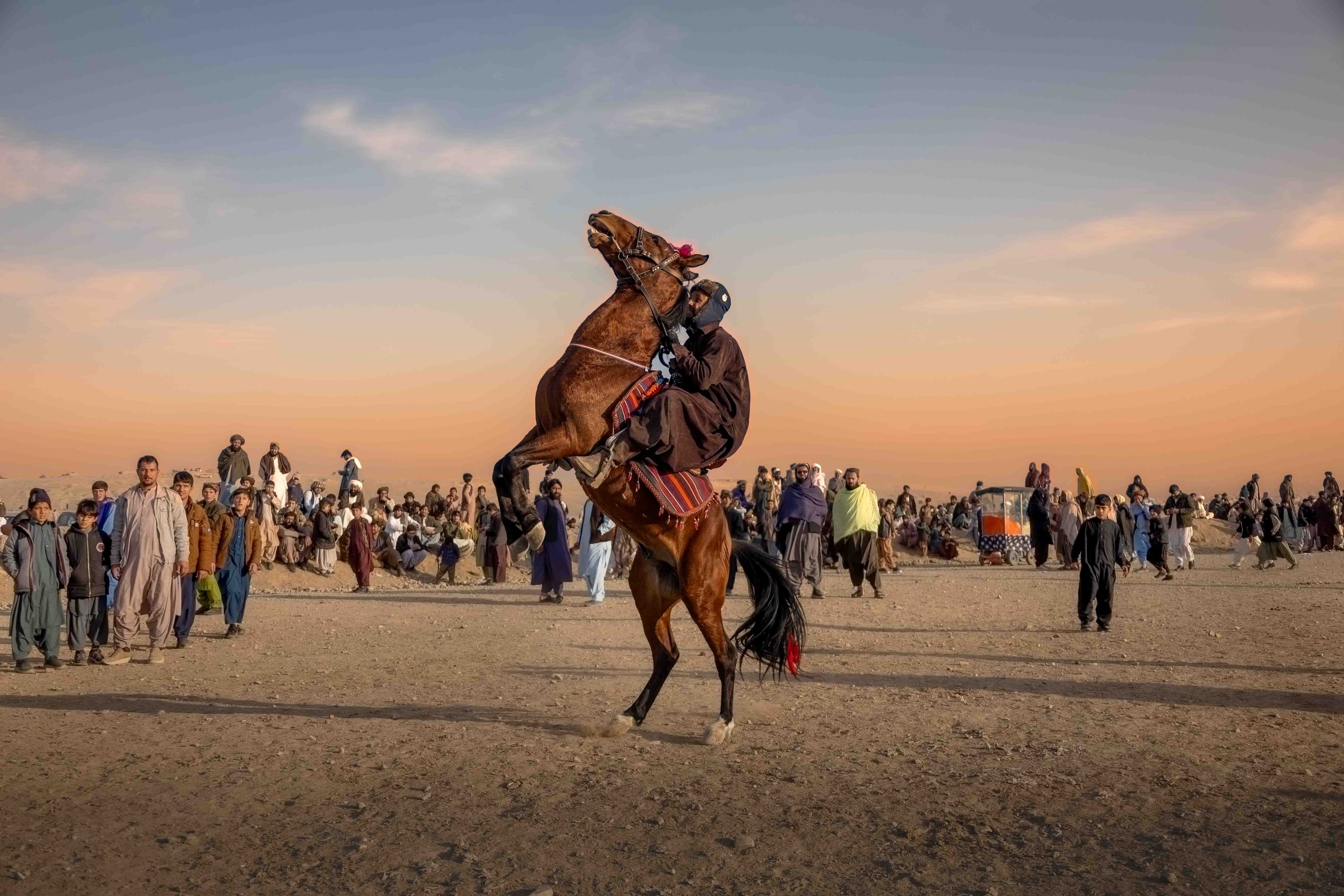 Buzkashi – The Fierce Dance of Tradition and Courage